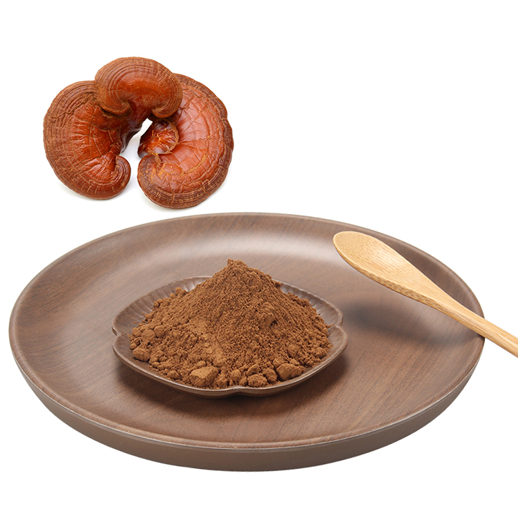 Red Ganoderma Mushroom Extract: Natural Immunity Booster